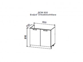 Шкаф нижний ДСМ800 под мойку в Чернушке - chernushka.магазин96.com | фото