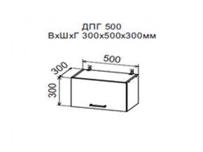Шкаф верхний ДПГ500 горизонтальный в Чернушке - chernushka.магазин96.com | фото