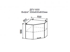 Шкаф верхний ДПУ600 угловой в Чернушке - chernushka.магазин96.com | фото